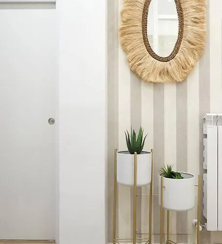 Nuevo En El Centro De Donosti * San Sebastian